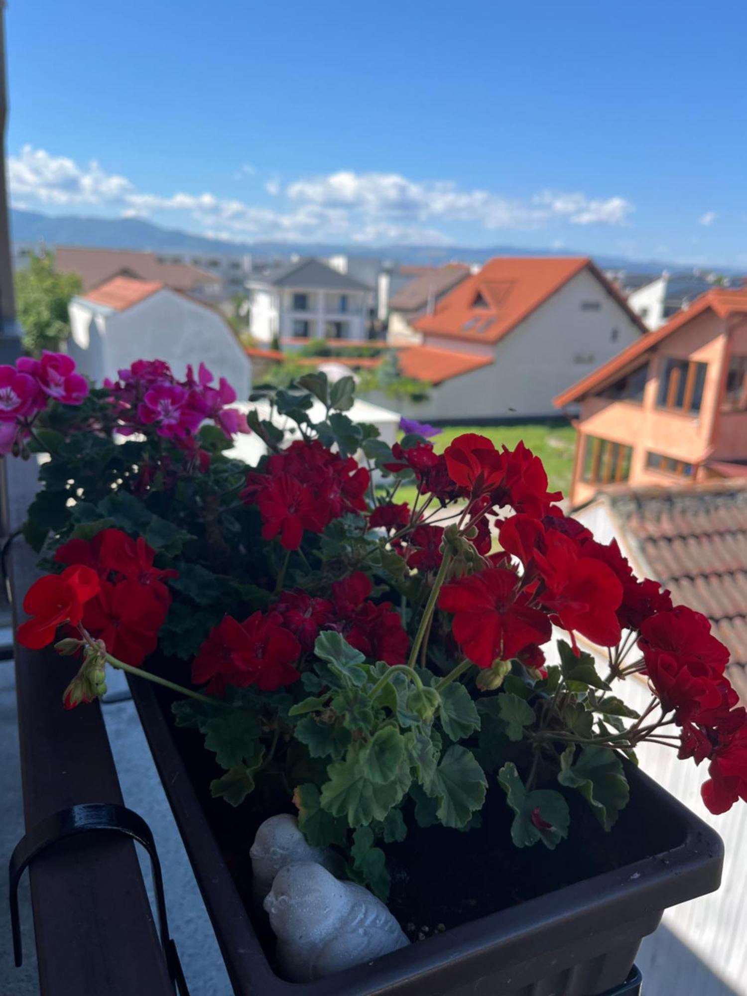 Apartament Acasa Sibiu Exteriör bild
